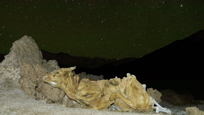 Ewigkeit , Atacama